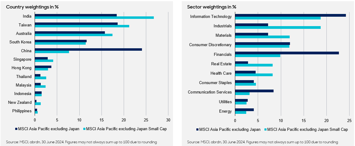 abrdn: Diversifikationsvorteile von Small Caps nutzen. MSCI Asia ohne Japan - Lnder, Sektor