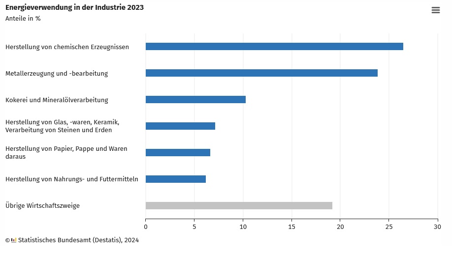 DESTATIS: Energieverwendung in der Industrie 2023