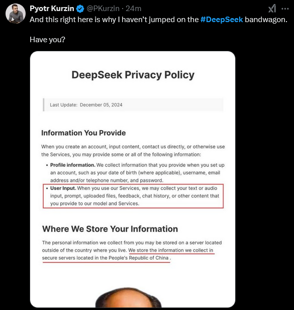 x: deepseek privacy policy